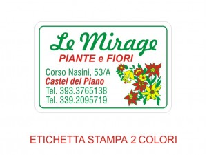 Etichette adesive per fioristi, fiorai e vivaisti  (mm 45X30)  (cod.99G)
